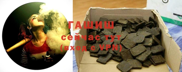 шишки Лабытнанги