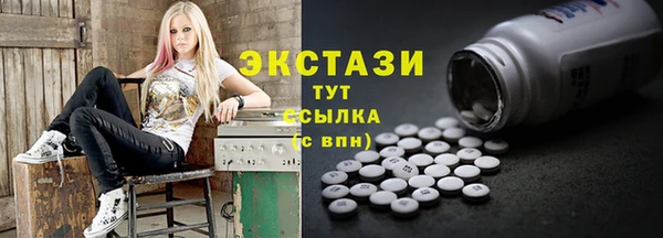 шишки Лабытнанги
