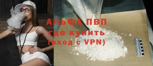шишки Лабытнанги
