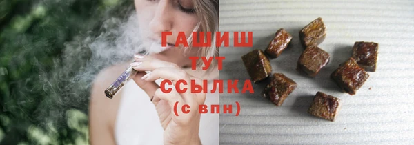 шишки Лабытнанги