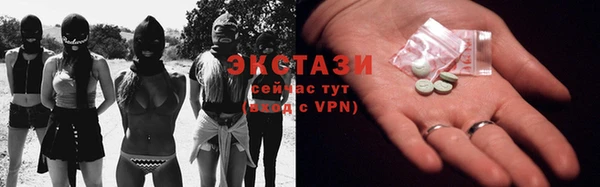 шишки Лабытнанги