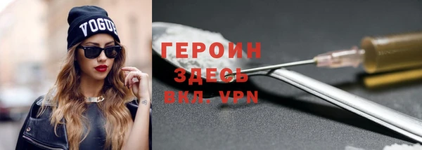 шишки Лабытнанги
