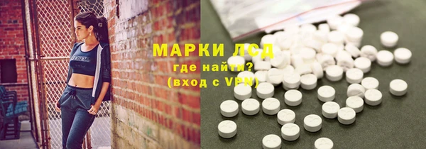 шишки Лабытнанги