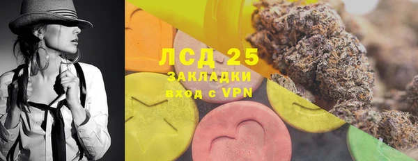 шишки Лабытнанги